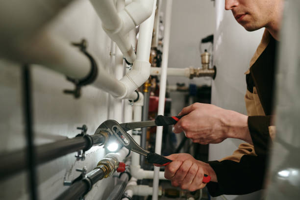 Best Clogged Drain Plumber  in Fairbanks, AK
